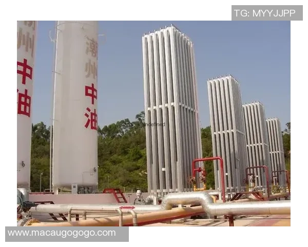 世界大师赛分析:LNG战术运用的成功与不足之处探讨 世界大师赛分析:LNG战术运用的成功与不足之处探讨