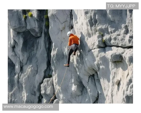 北京攀岩队速度训练揭秘：如何在攀岩中追求极限与突破