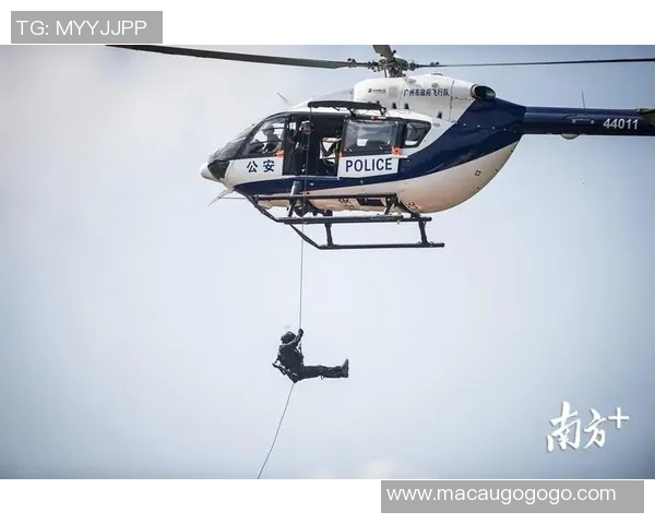 广州飞盘队实力解析：各队员表现与战术优势全面对比分析