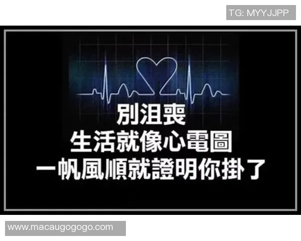 深度对话陈静排球人生的奋斗与梦想之路