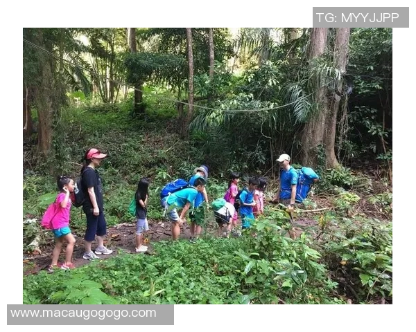 南京攀岩队的默契配合与挑战精神探秘之旅