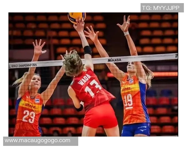 女排精彩对决荷兰队挑战中国队直播盛况全程回顾与分析